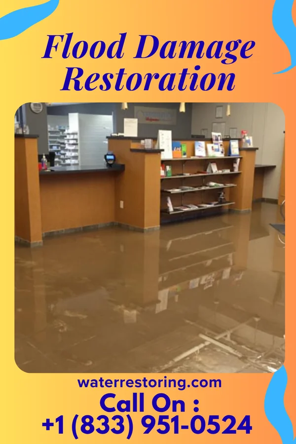 Flood Damage Restoration in Thurmont, MD