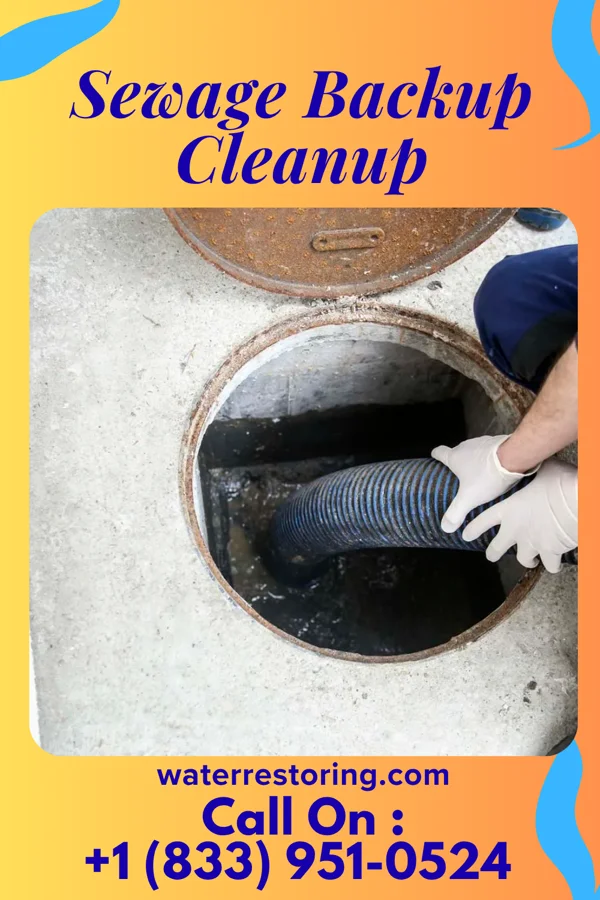 Sewage Backup Cleanup in Thurmont, MD