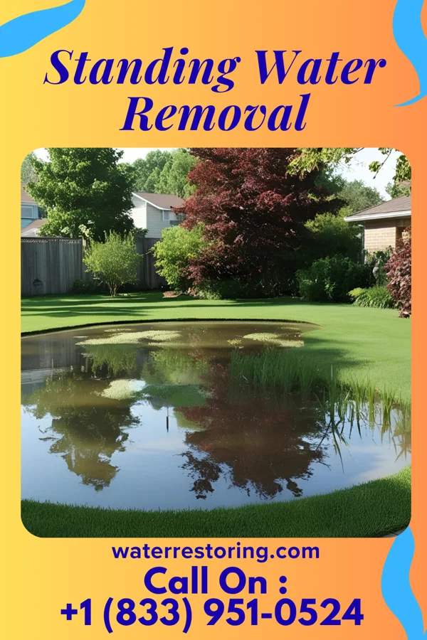 Standing Water Removal in Thurmont, MD